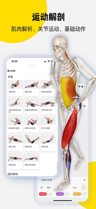3DbodyappٷѰͼ0