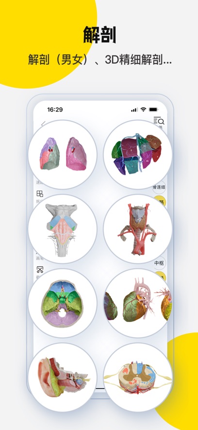 3DbodyappٷѰͼ2
