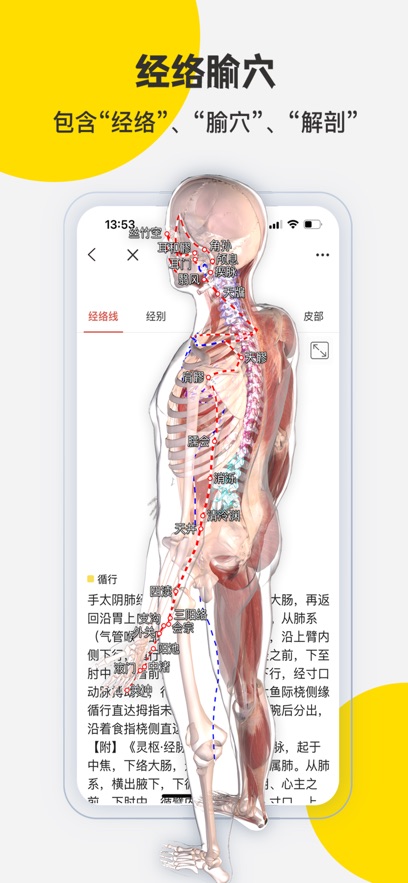 3DbodyappٷѰͼ3