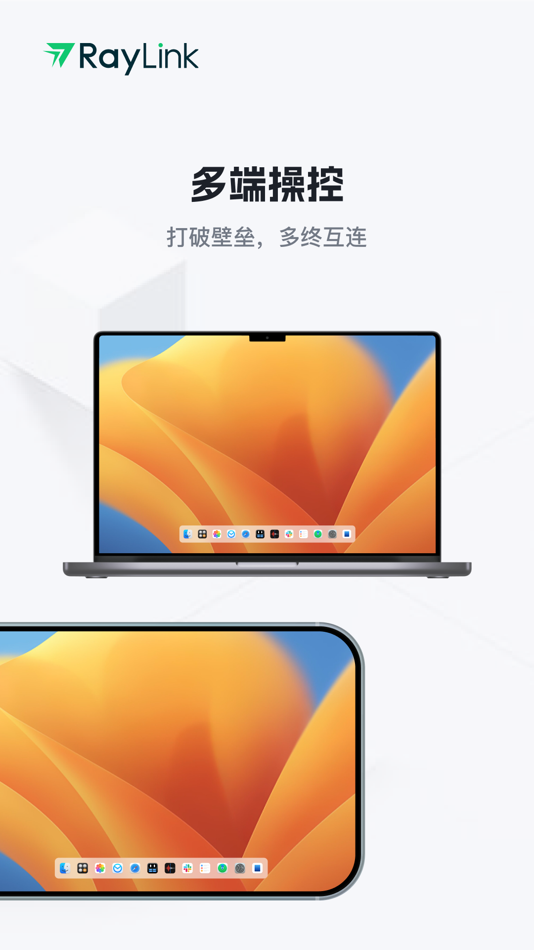 RayLink˰appͼ1
