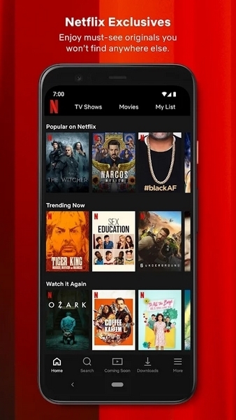 Netflix appͼ1