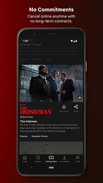 Netflix appͼ3