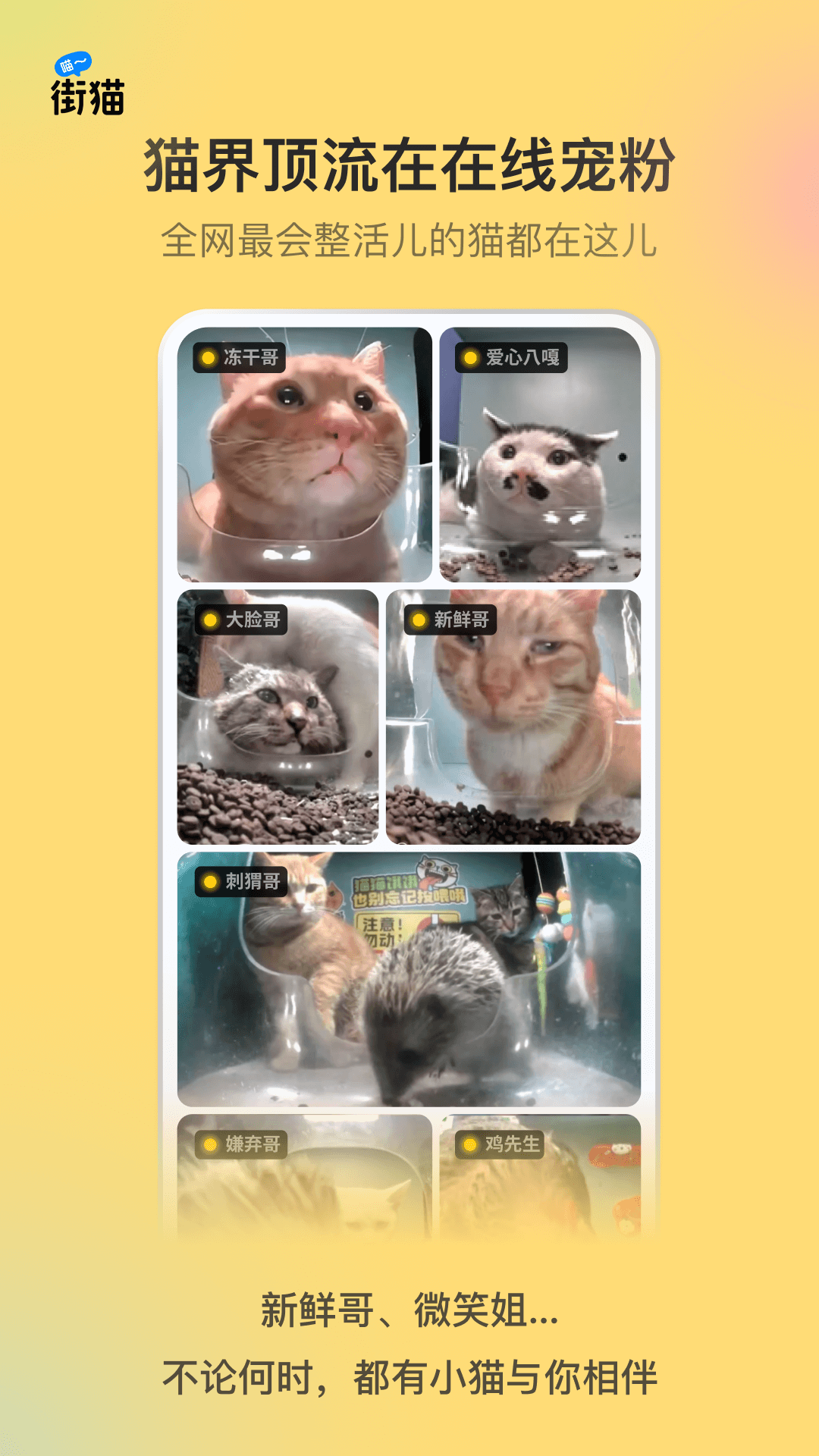 èappٷͼ3
