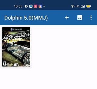 Dolphin Emulatorģ