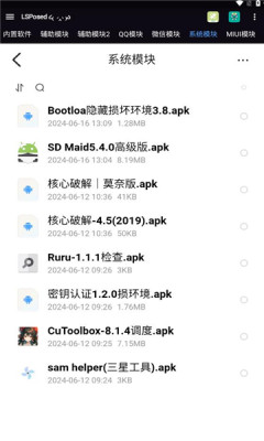 moduleģappٷ°ͼ1