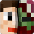 ҵAddonsv1.20.4ٷ