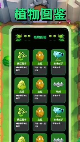 PVZBT°ͼ3