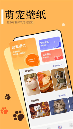 Pet TranslatorԻ2024°ͼ2