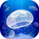 ˮĸϷİv1.0.0׿