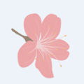 artvierpixivֻappv0.4.4ٷ