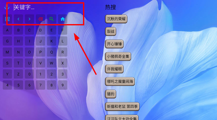 大千视界TV李根内置2025最新版截图4