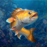 ޽Ұv2.6.2׿