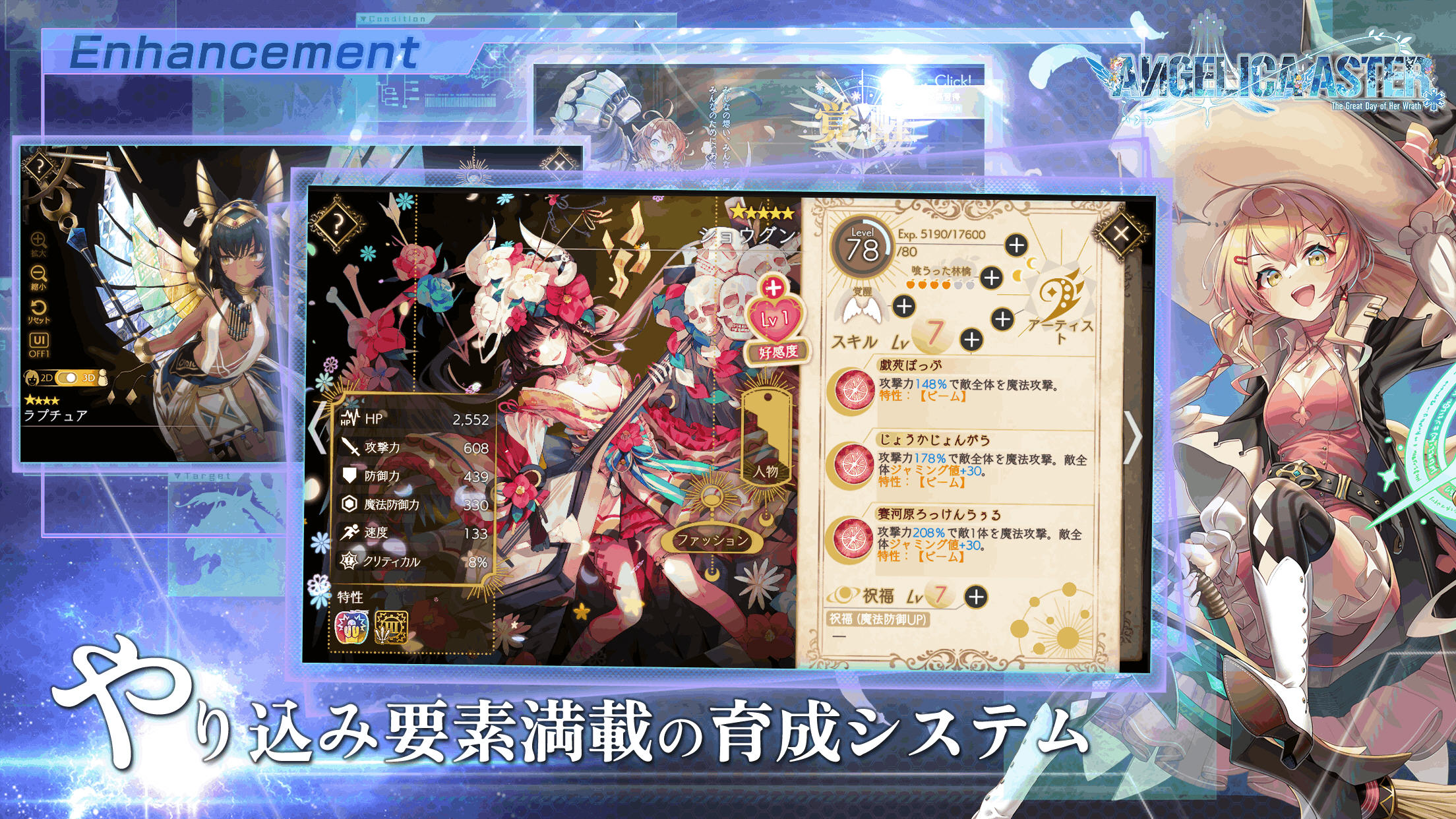 ANGELICAASTERշٷ(Է)ͼ4