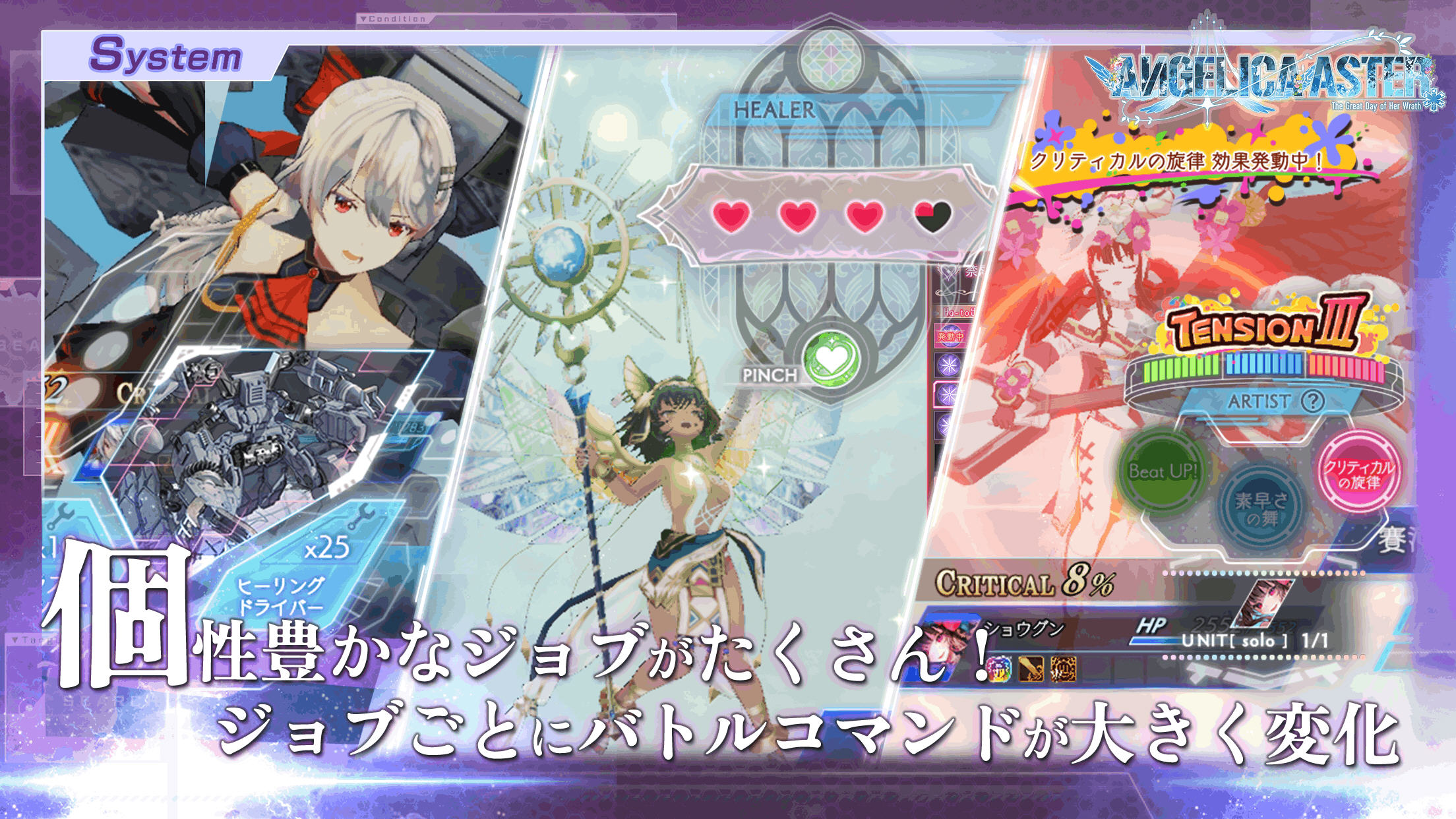 ANGELICAASTERշٷ(Է)ͼ2