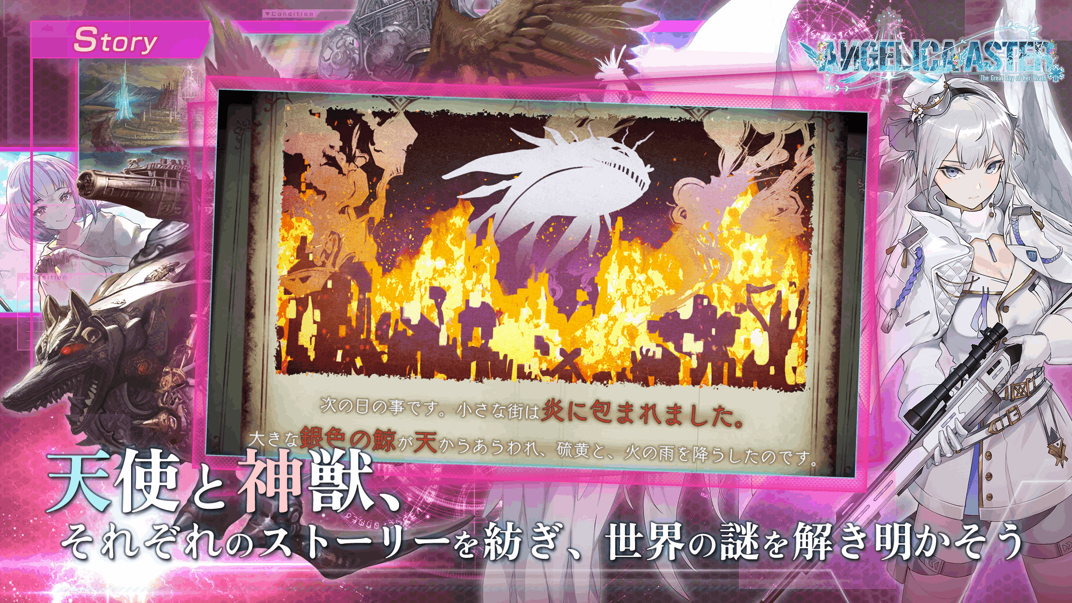 ANGELICAASTERշٷ(Է)ͼ1