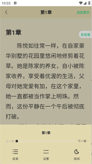 ˵app