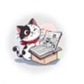 ޹v1.0.4׿