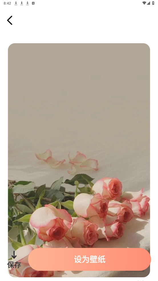 ½ֽapp