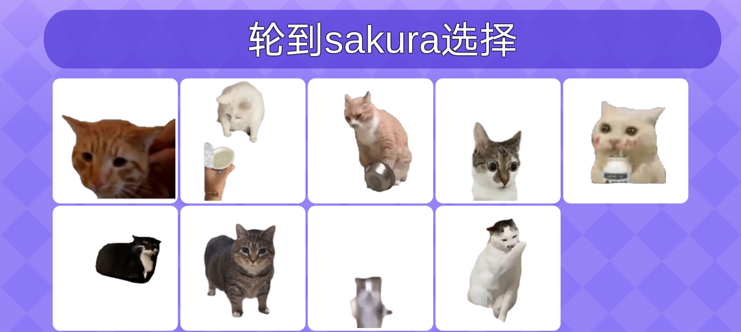 Ů׵Ķҩèmemeٷͼ3