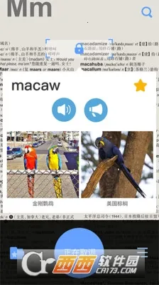 Ӣ����ʵ�(Ӣ���ʵ�App)��ͼ1