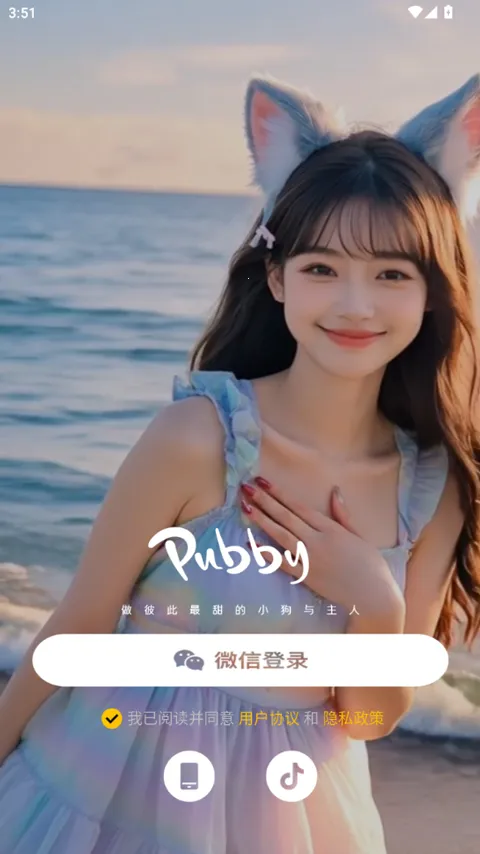 Pubby(��ʵ��������)