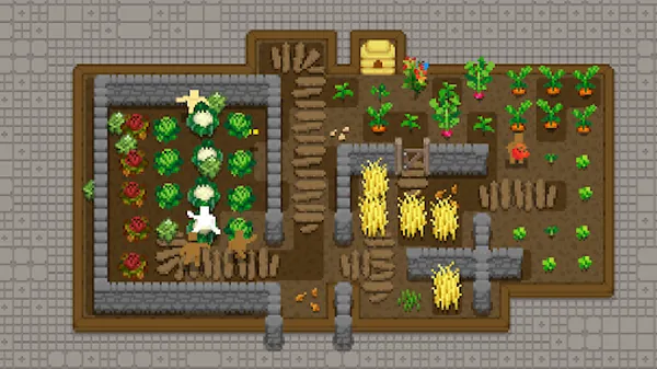 СС¶̨2026���°汾��ͼ0