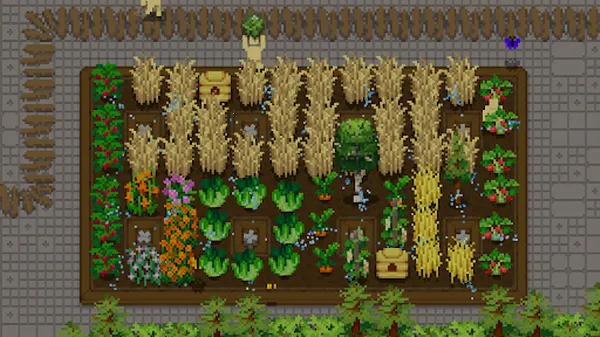 СС¶̨2026���°汾��ͼ5