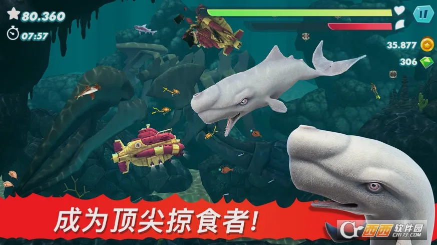 �����裺����2026���°汾��ͼ1