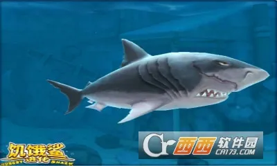 �����裺����2026���°汾