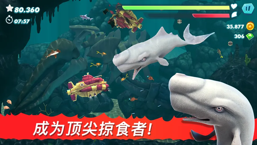 �����裺����2026���°汾��ͼ4