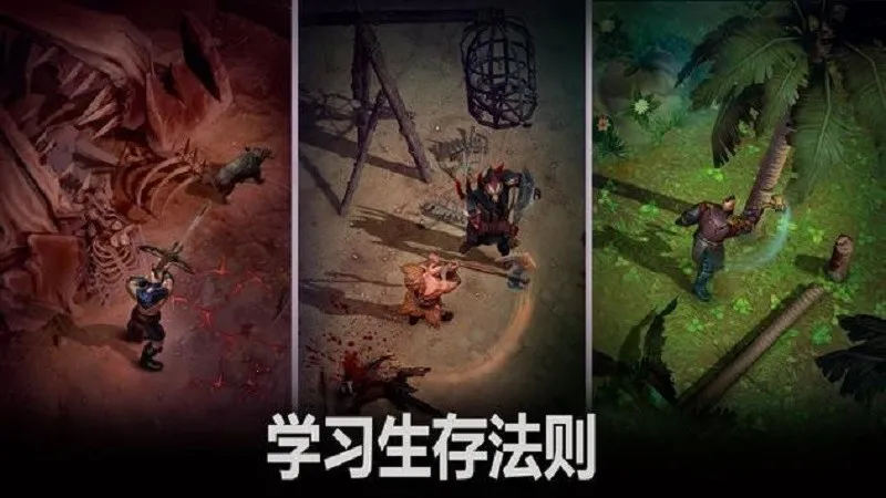 ��������2026�ֻ����ͼ3