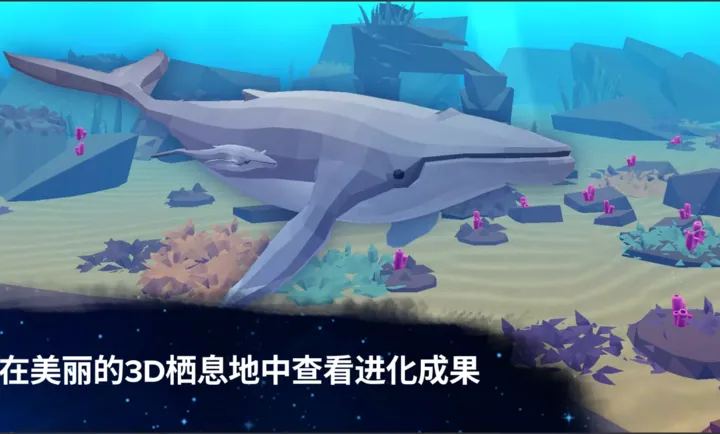 ��ϸ������㣺��������ֹ����װ��(�����������Ϸ)��ͼ5