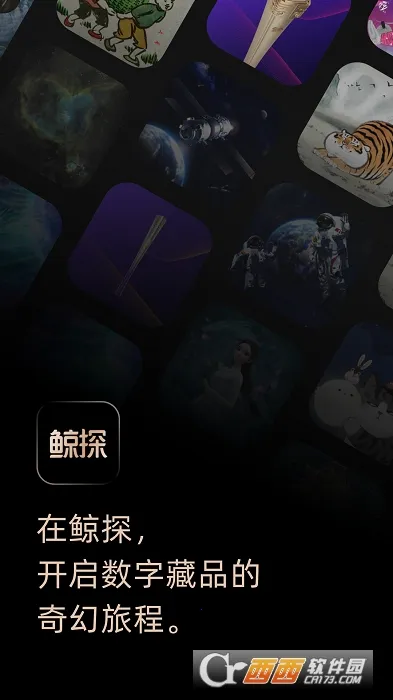 ��̽(���ֲ�Ʒƽ̨)��ͼ1