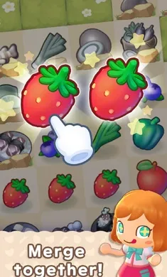 �ϲ�¶Ӫ��2026�ٷ����°汾��ͼ4