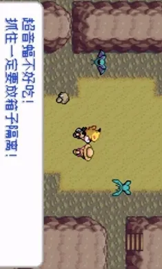 �ڴ����֣�ȥ��Ƥ���������ֻ����ͼ2