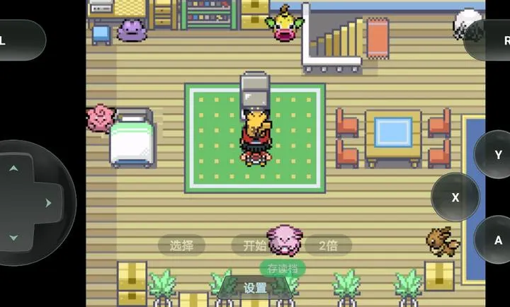 �ڴ����֣�ȥ��Ƥ���������ֻ����ͼ5