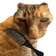 ��è��ë2026�ֻ���v1.0 ��ʽ��