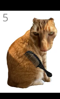 ��è��ë2026�ֻ����ͼ0