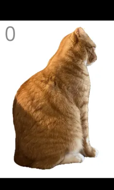 ��è��ë2026�ֻ����ͼ2