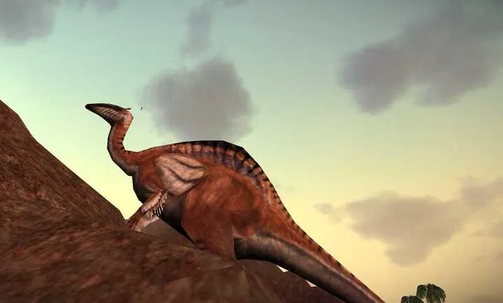 ʳ�ݶ��������ֻ����ͼ5