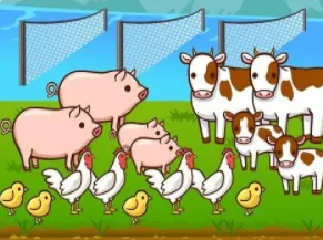 ��˾����2026���°汾