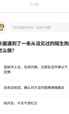 dogti�˸����2026�ٷ����°汾��ͼ0