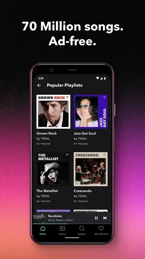 tidal�������°�׿���ͼ1