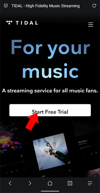 tidal�������İ�