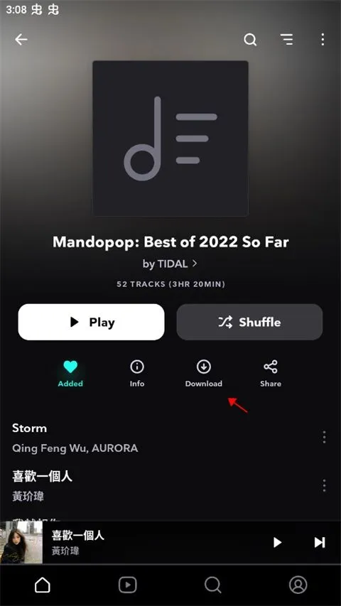 tidal�������İ�